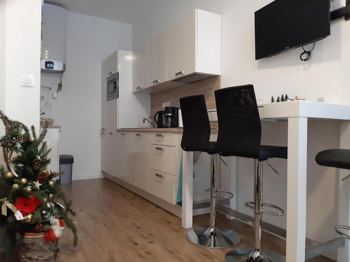 Apartman Plesnivec Доновалы Экстерьер фото